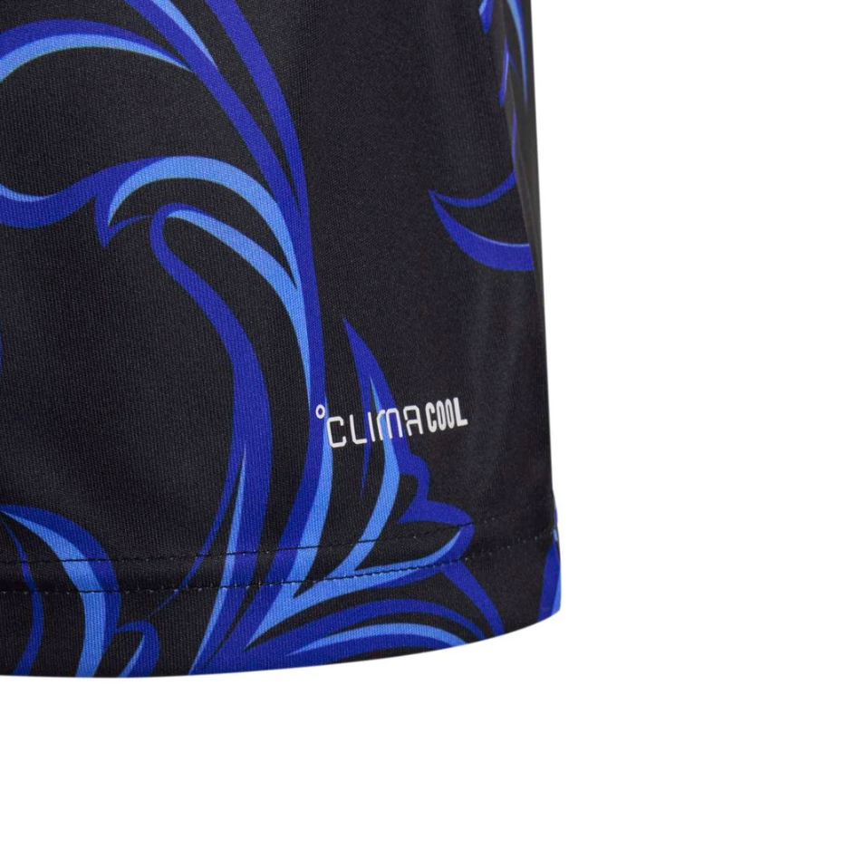 Argentina FIFA World Cup 2026 Away